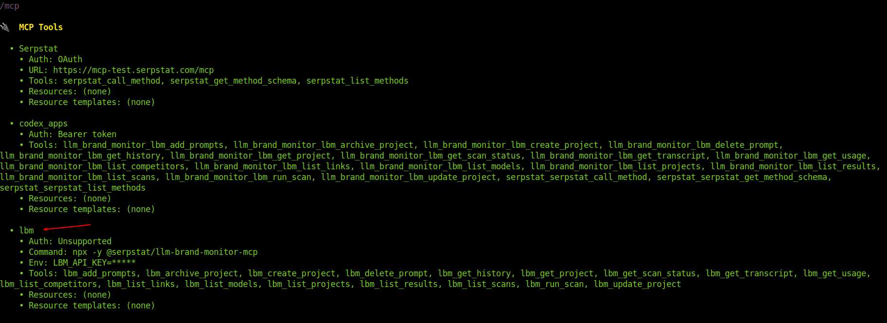 Codex /mcp output listing the lbm server with its command, env, and available tools